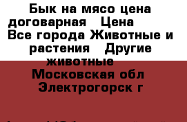 Бык на мясо цена договарная › Цена ­ 300 - Все города Животные и растения » Другие животные   . Московская обл.,Электрогорск г.